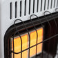 10,000 BTU Vent Free Radiant Natural Gas Heater