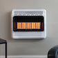 30,000 BTU Vent Free Radiant Dual Fuel Heater