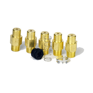 Big Maxx Fuel Conversion Kit - LP to NG