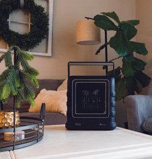 1500W Portable Ceramic Electric Buddy® Heater