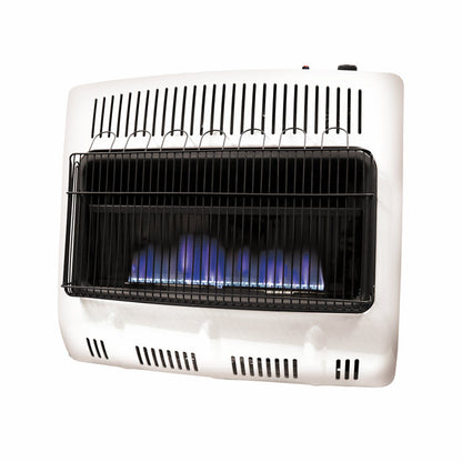 30,000 BTU Vent Free Blue Flame Dual Fuel Heater